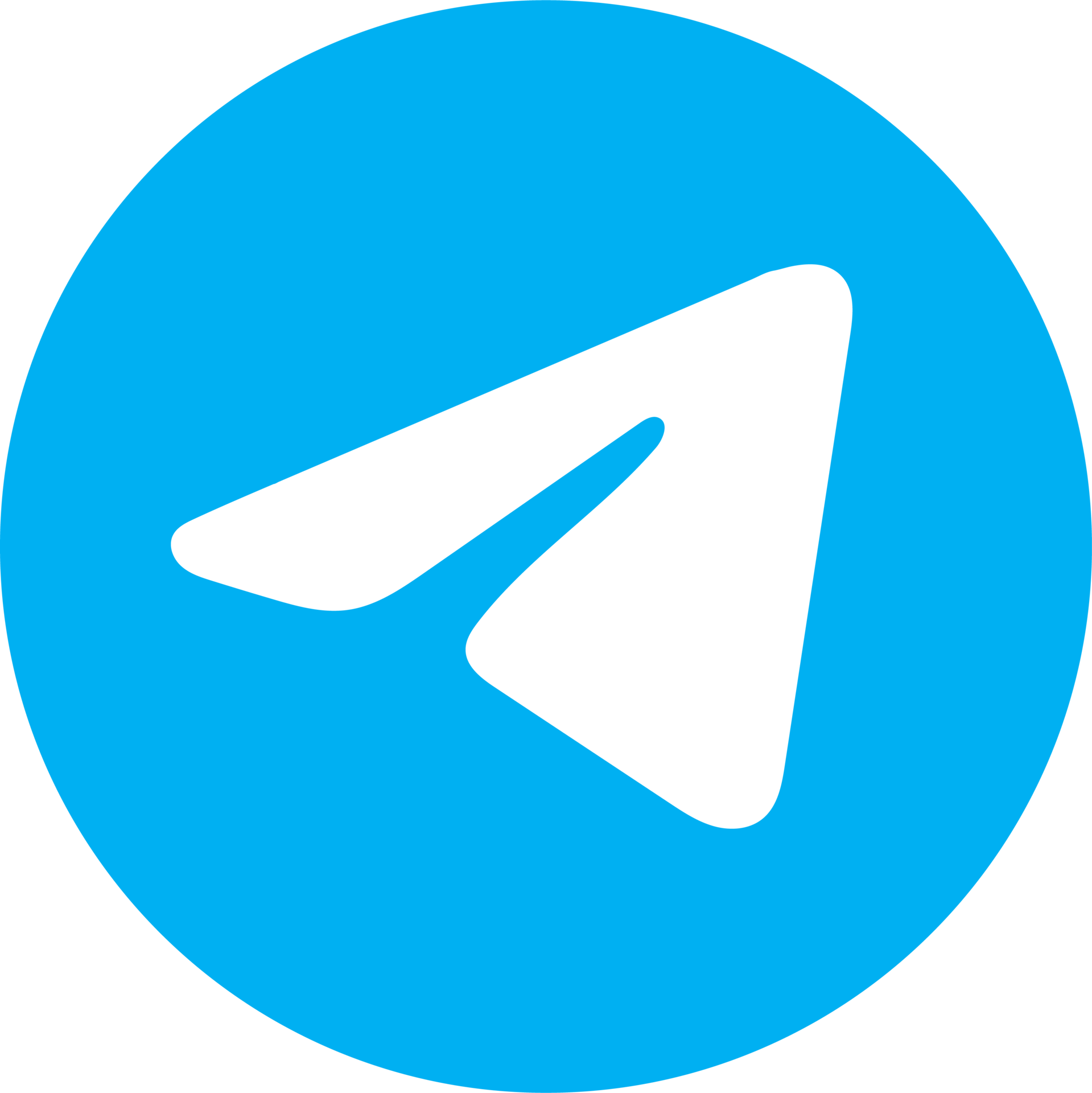 Logo Telegram